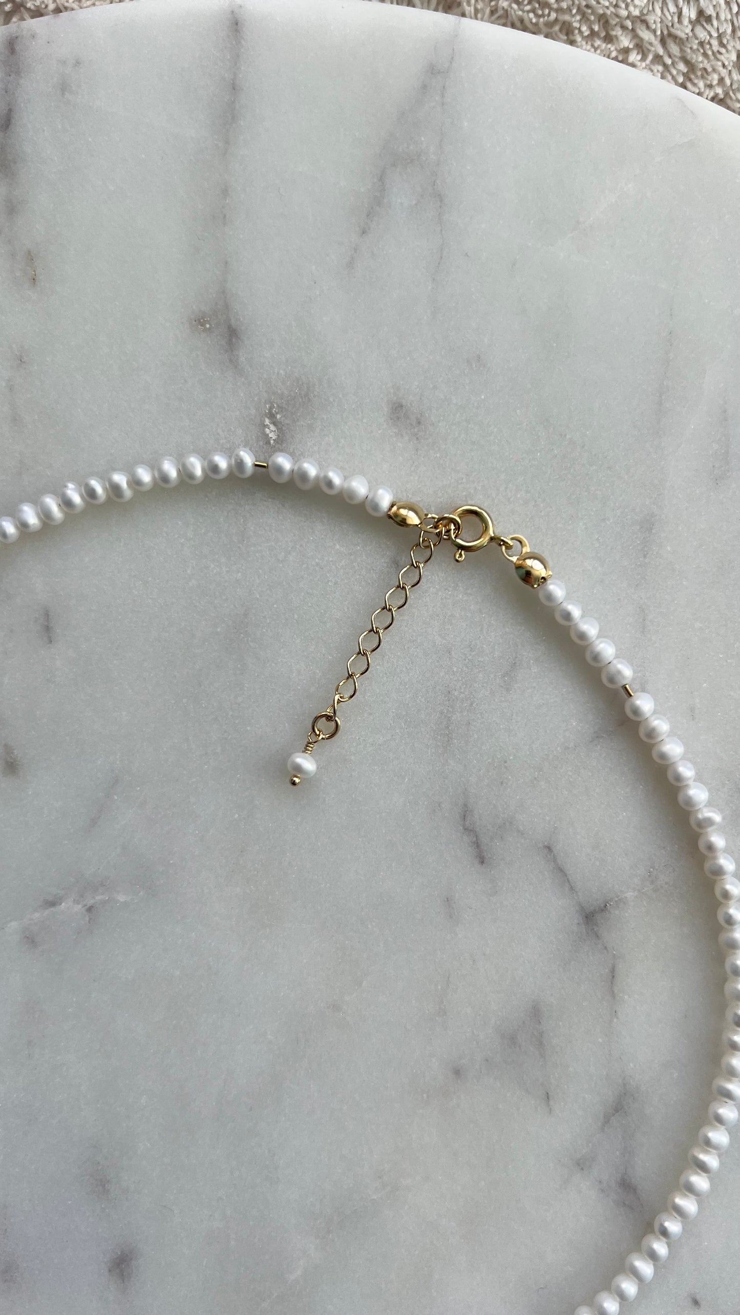 Poziomka w perłowej rosie