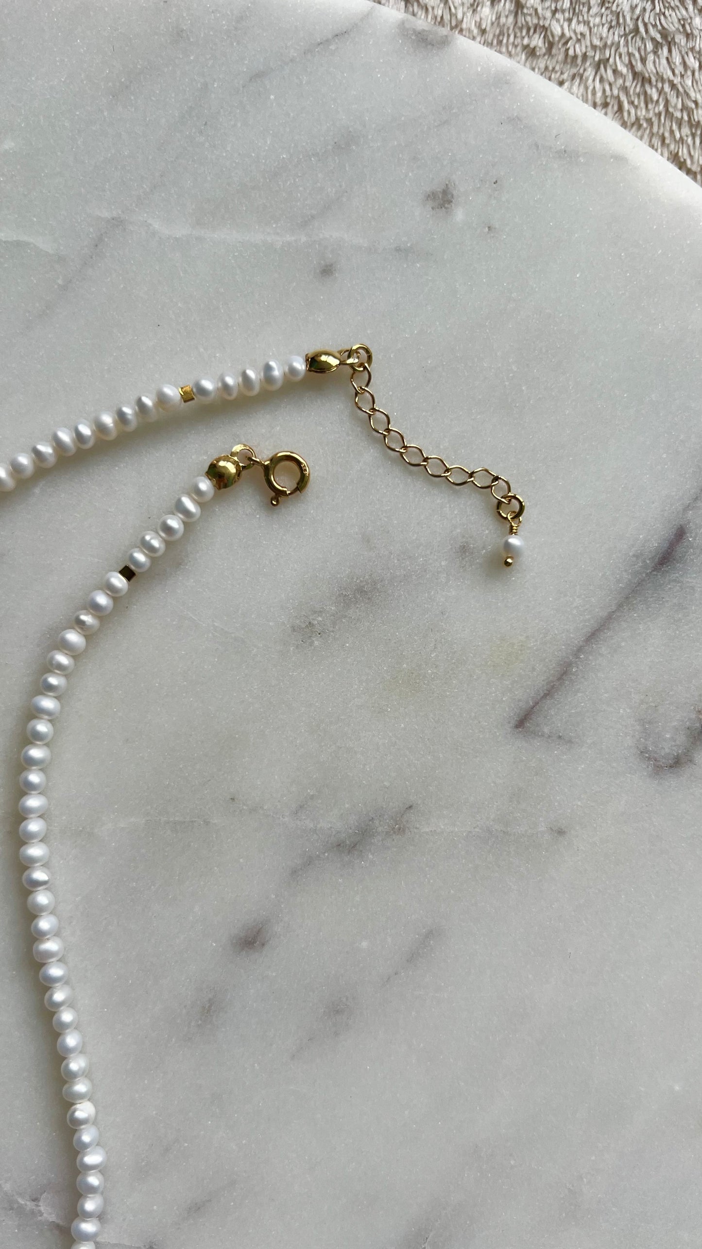 Jeżyna w perłowej rosie